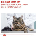 VHN Gastrointesti.Fibre Resp. 2 kg