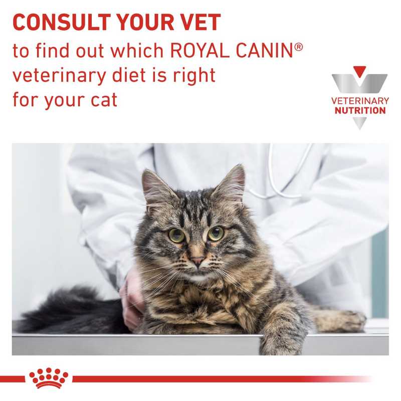 VHN Gastrointestinal Hairball 2 kg