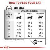 VHN Gastrointestinal Hairball 2 kg