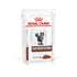 VHN Gastrointestinal Gravy Pouch 12x85g
