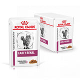 VHN Vital Early Renal Gravy Pouch 12x85g