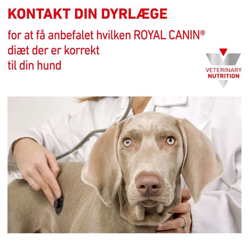 VHN Derma Hypoallergenic Can 200 g