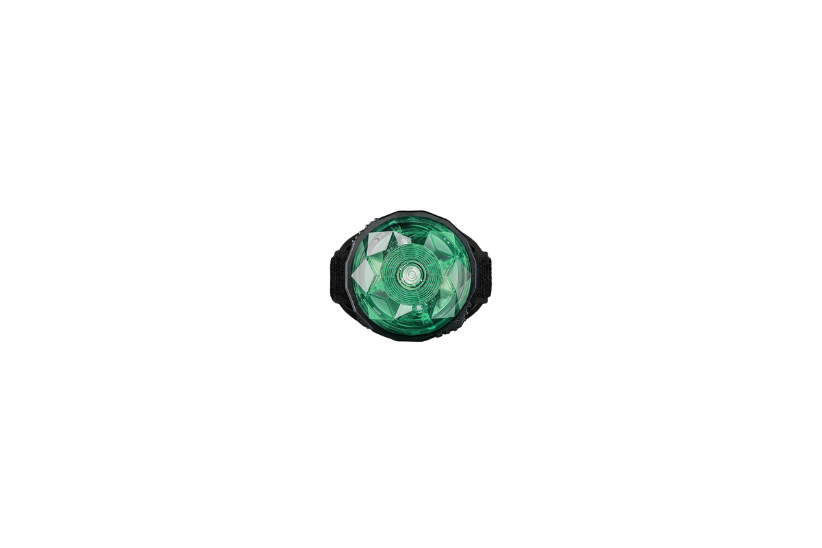 Dog Safety Light MINI Turkis