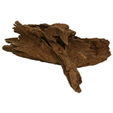Trærod - Mangrovem ca. 20-30 cm - Maxi Zoo Danmark