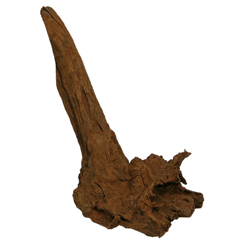Trærod - Mangrovel ca. 30-40 cm - Maxi Zoo Danmark