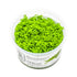 Fisk Levende planter