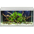 Family Aquarium 80 l, 70 X 32,5 X 37 cm hvid