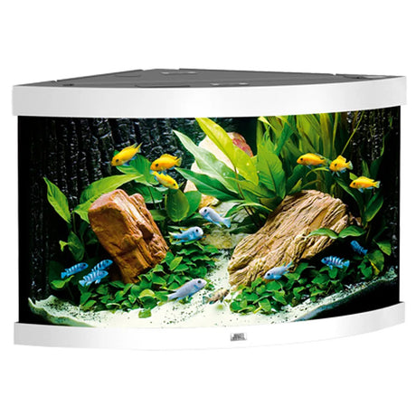 Juwel Model Trigon 190 Led Akvl: 98,5 x b: 70 x h: 60 cm - Maxi Zoo Danmark