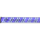Akvastabil Lumax Blå/Hvid Led- - Maxi Zoo Danmark