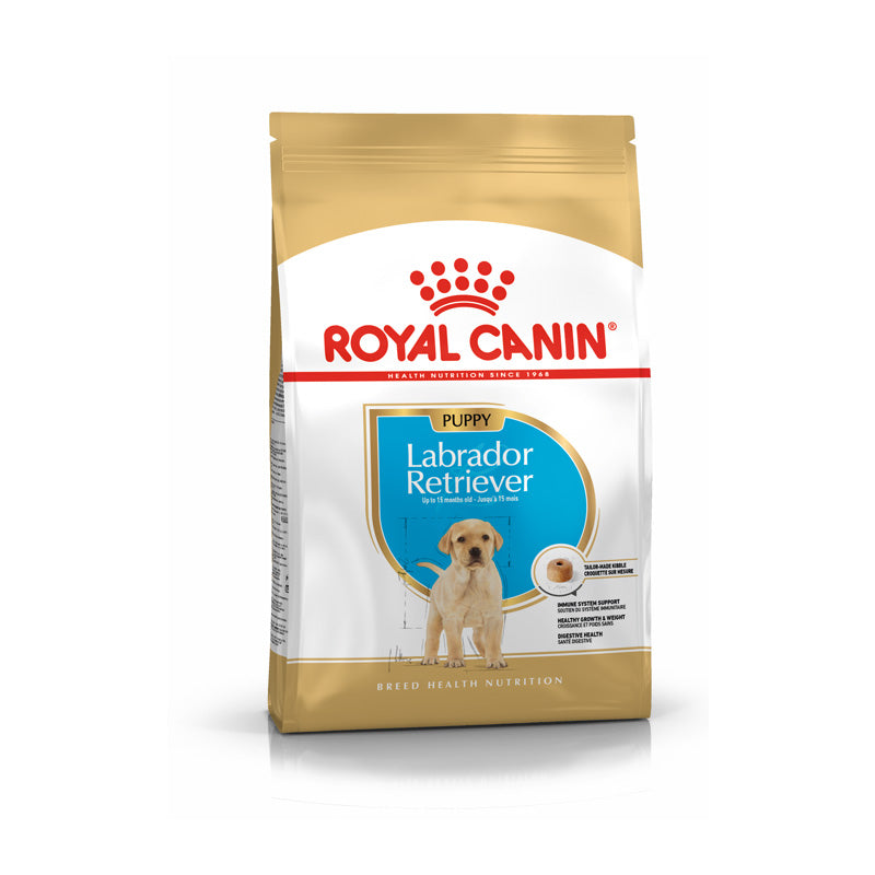 Puppy Labrador 3 kg