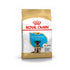 Puppy Shepherd  3 kg