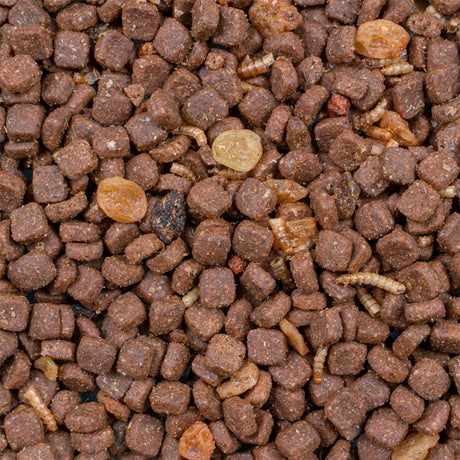 Pindsvin mix600 g - Maxi Zoo Danmark