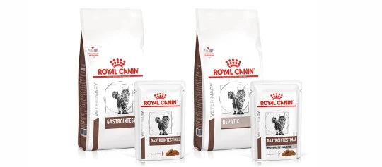 Royal Canin veterinary Gastrointestinal til katte med mave og tarm problemer i Maxi Zoo