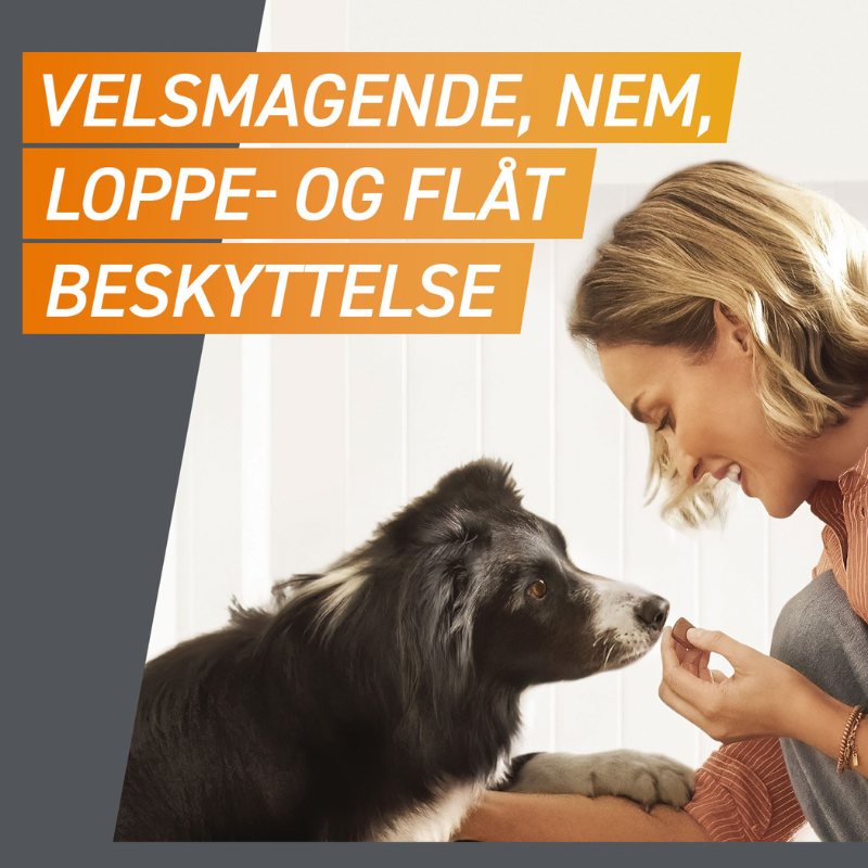 Flåt- & loppemiddel tyggetabletter hund 25-50 kg - 3 stk/pk - Maxi Zoo Danmark