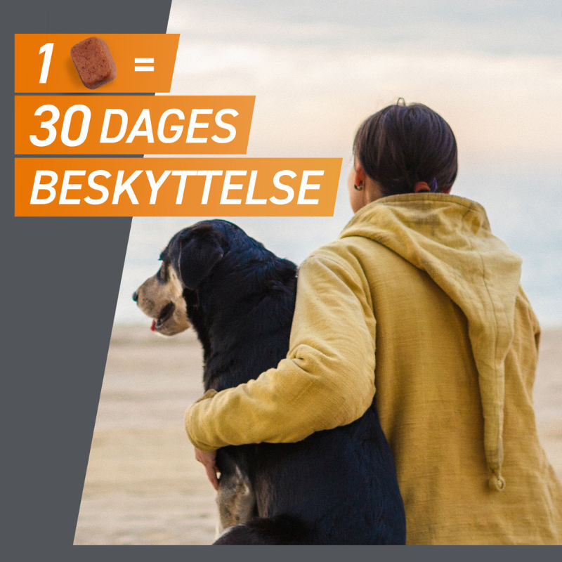 Flåt- & loppemiddel tabletter hund 4-10 kg - 3 stk/pk - Maxi Zoo Danmark