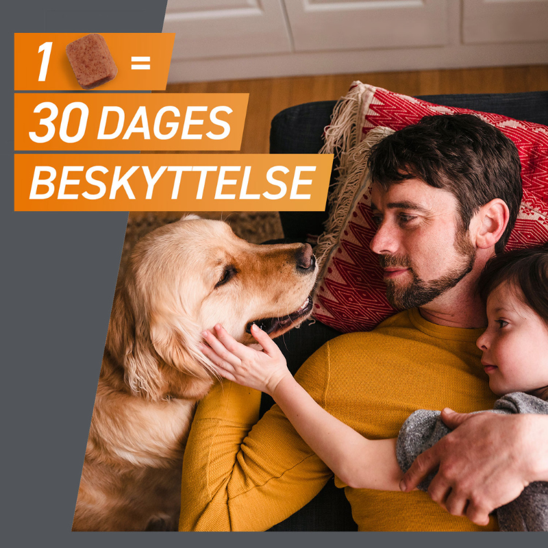Flåt- & loppemiddel tabletter hund 10-25 kg - 3 stk/pk - Maxi Zoo Danmark