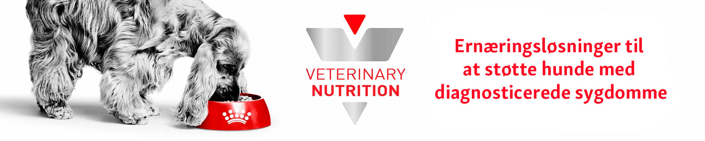 Royal Canin Veterinary til hunde i Maxi Zoo