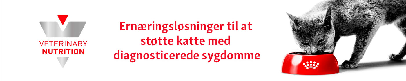 Royal Canin Veterinærfoder til katte i Maxi Zoo