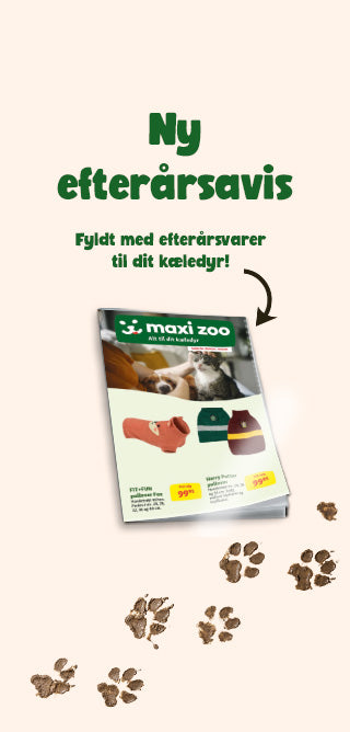 Maxi Zoo efterårsavis - fyldt med til dit kæledyr