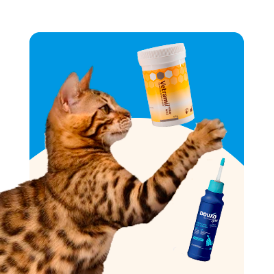 Ørepleje til kat i Maxi Zoo