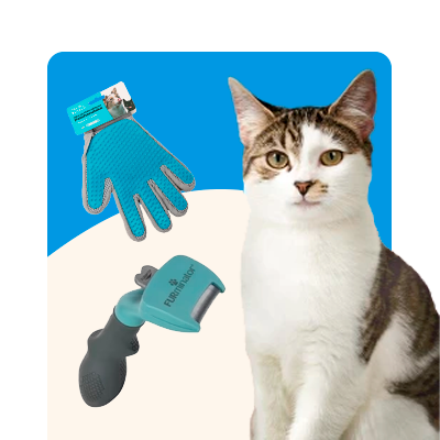 Pelspleje til kat i Maxi Zoo
